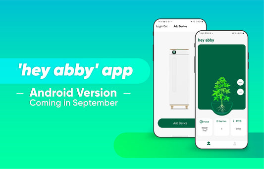 Android Version Coming in September