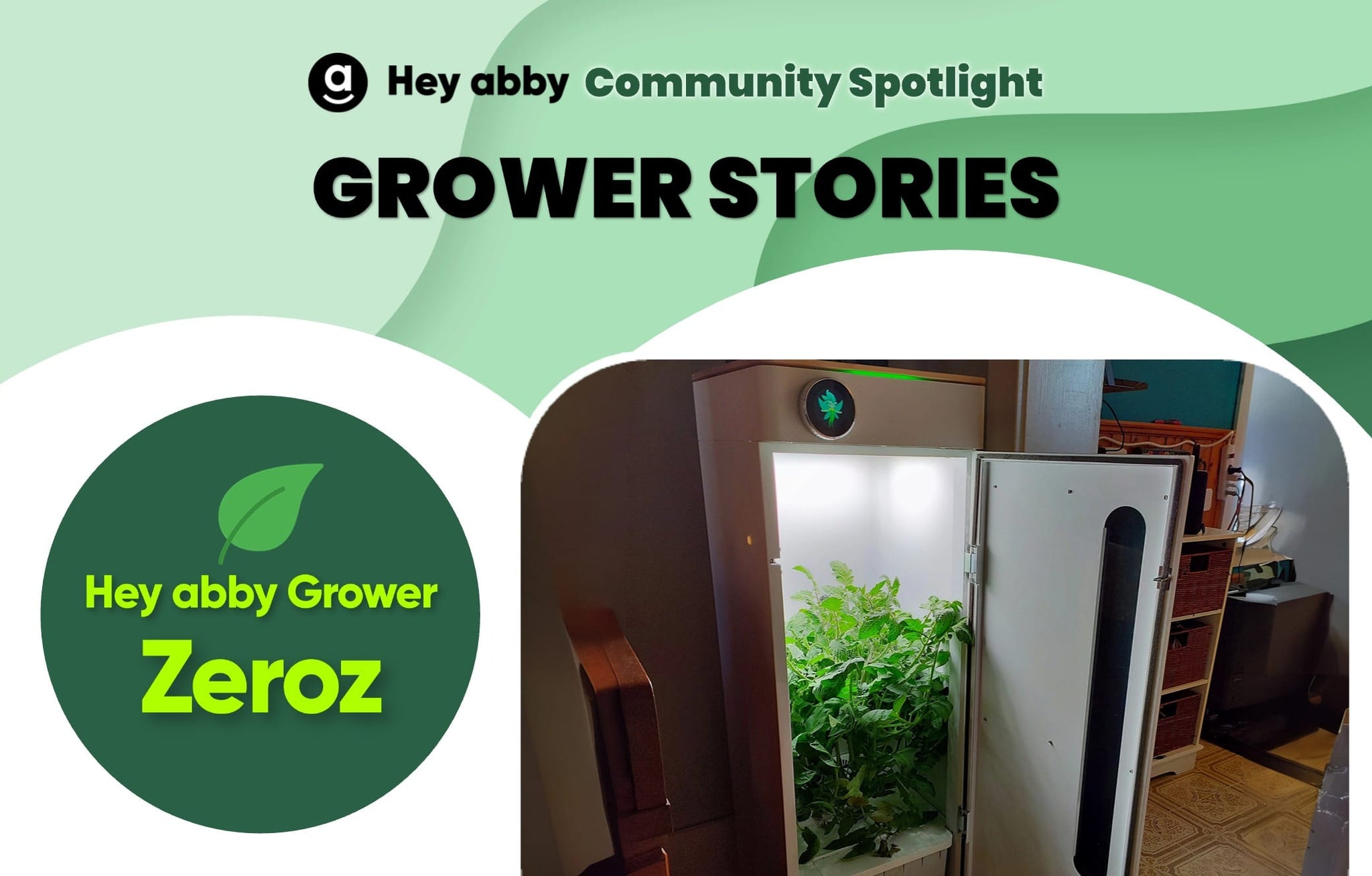 Hey abby Grower Stories_zeroz cover
