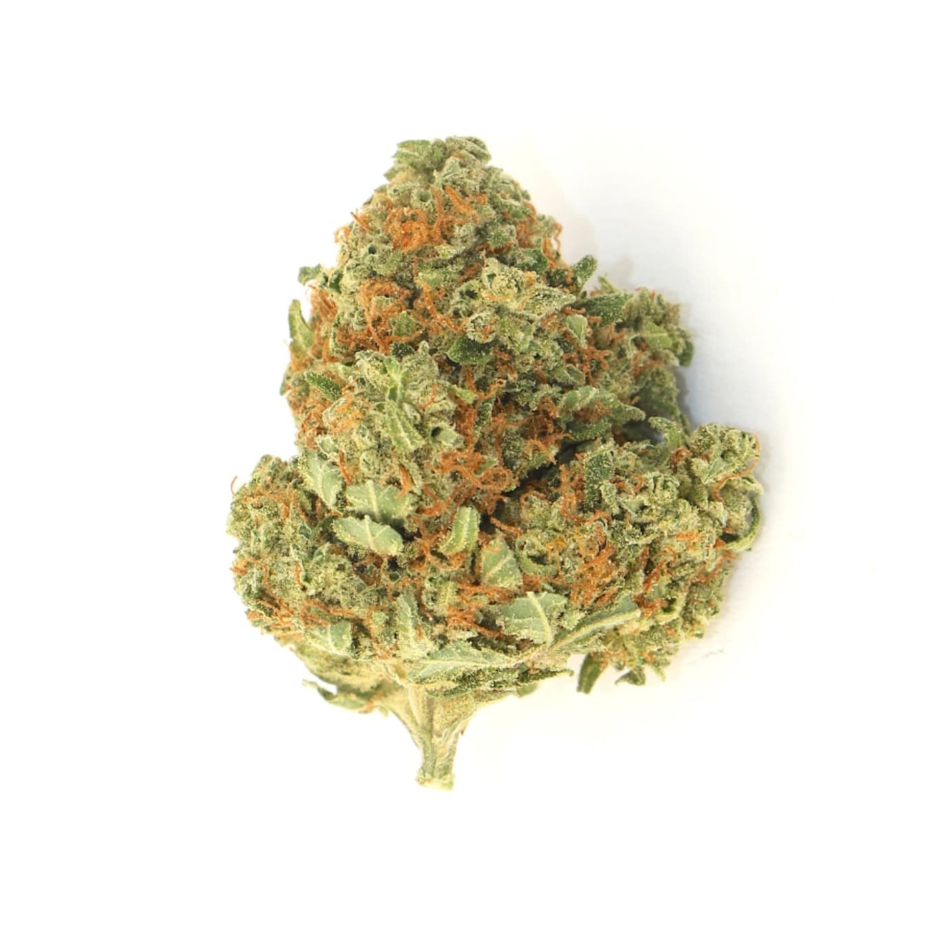 watermelon zkittlez strain