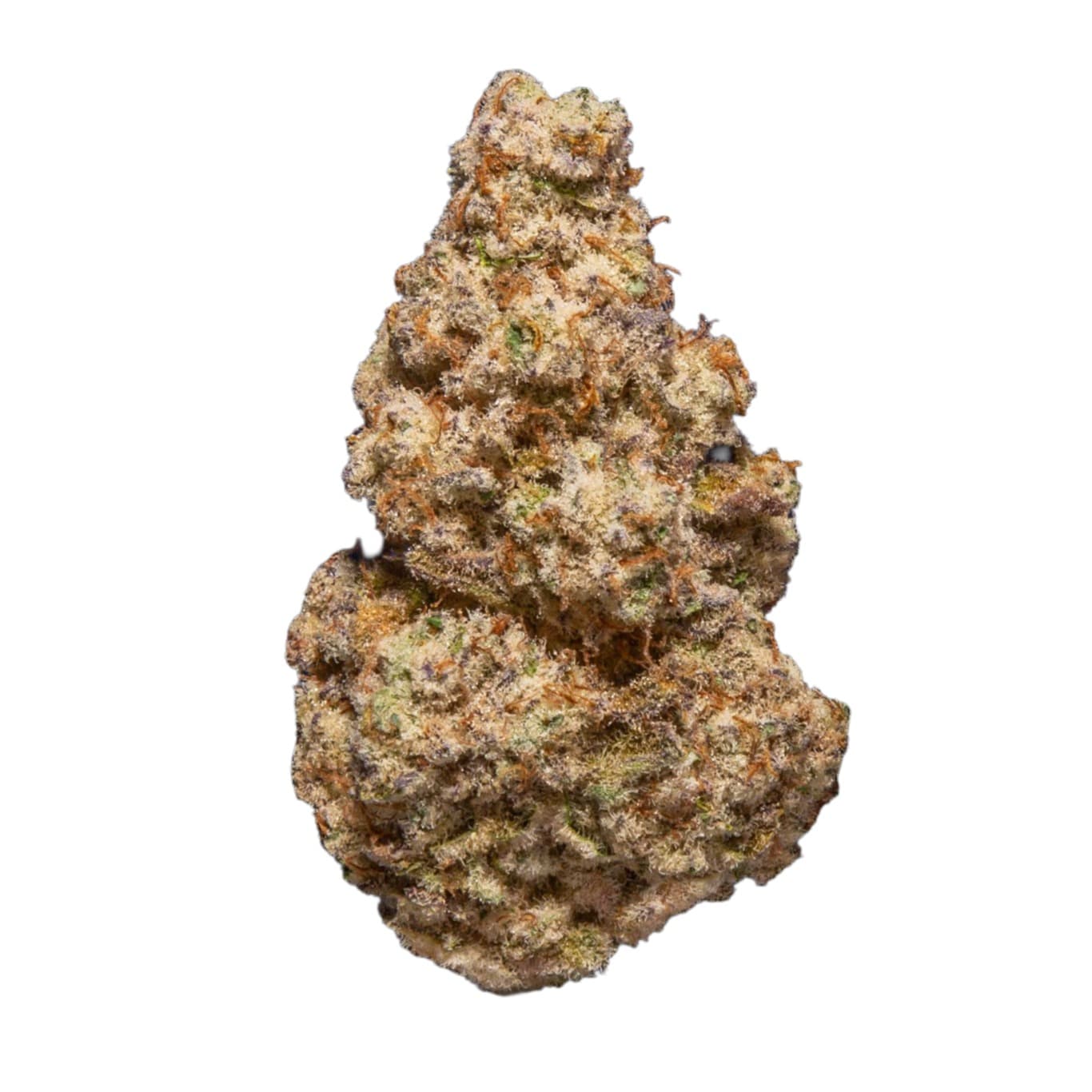 alien cookies strain