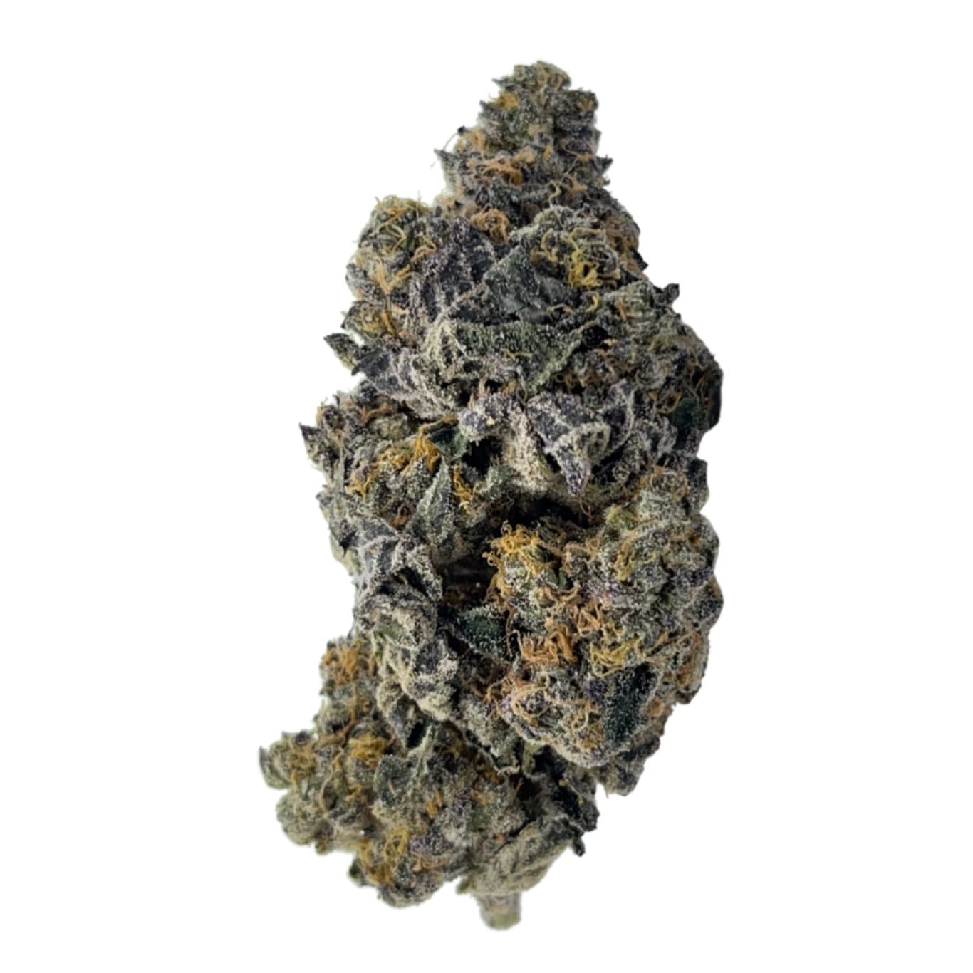 animal cookies strain