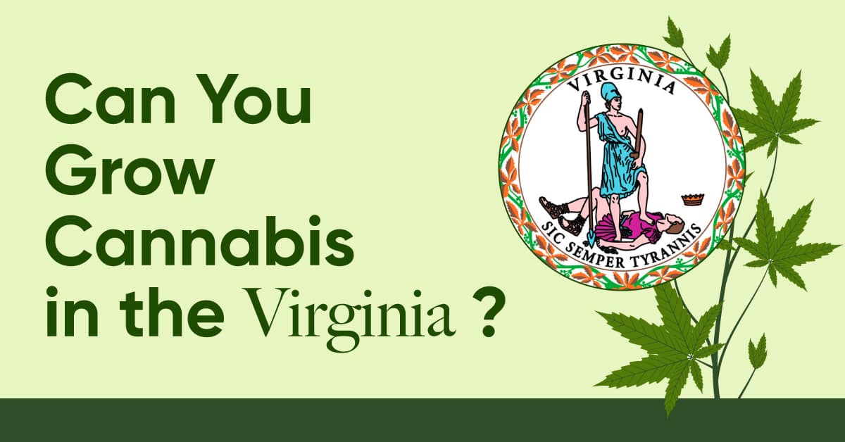 can you grow weed in virginia