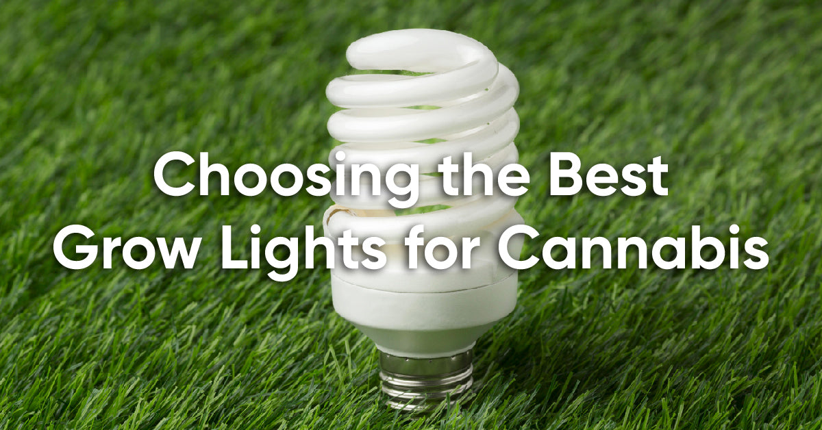 how to choose cannabis grow lights
