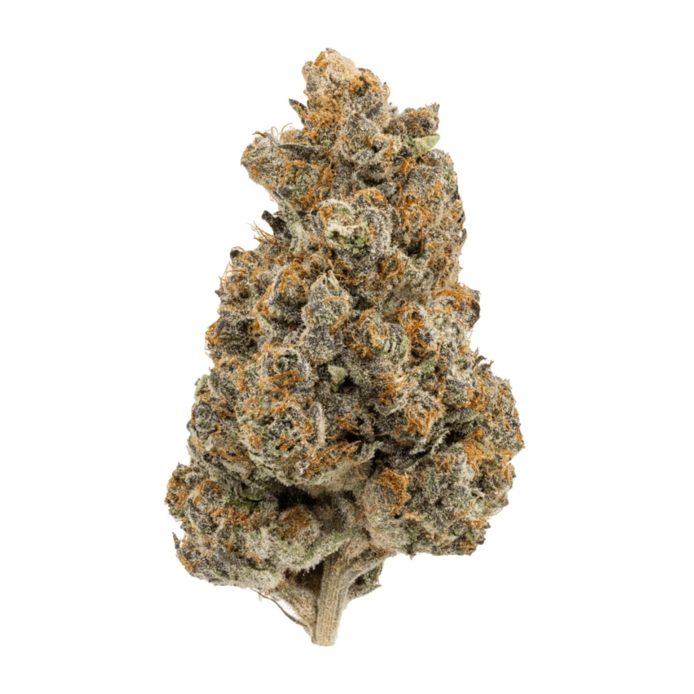 RS11 Strain (Rainbow Sherbet 11) Review: Growing Tips Included