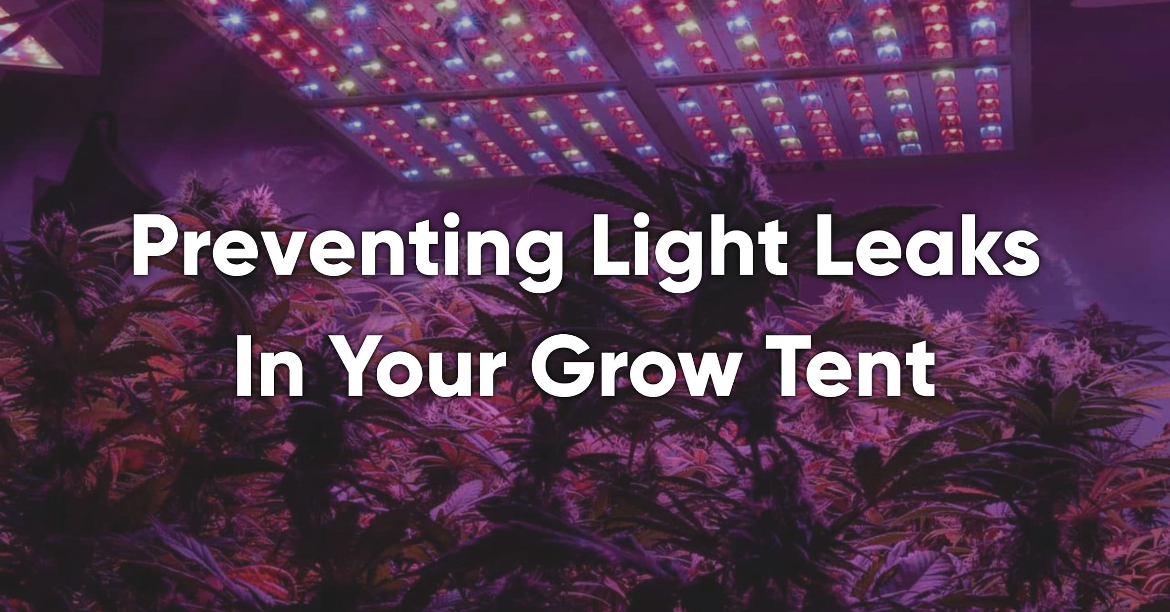 why don't you want light leaks in growing tents