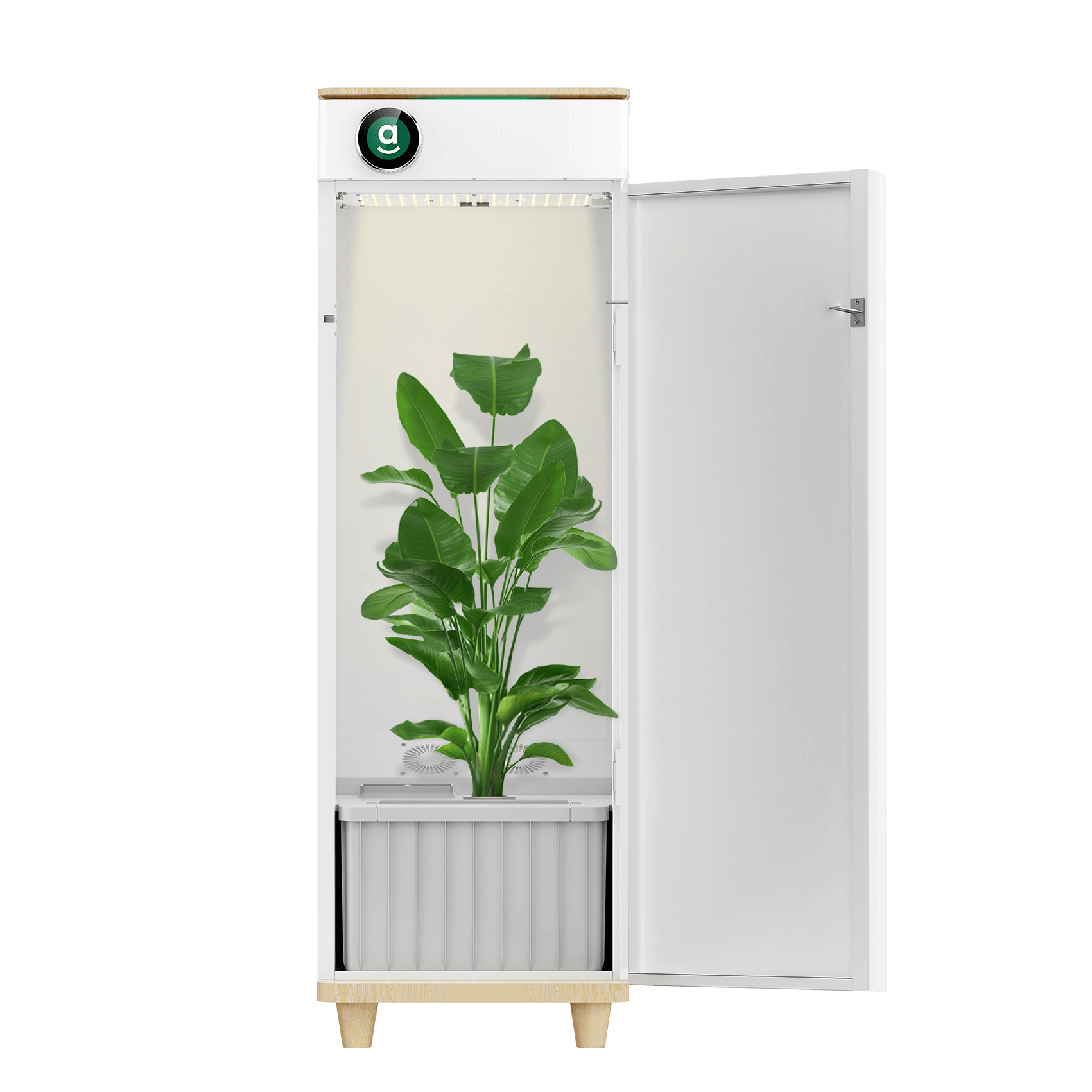 growing one weed plant indoors Hey abby 420 SE All-in-One Grow Box