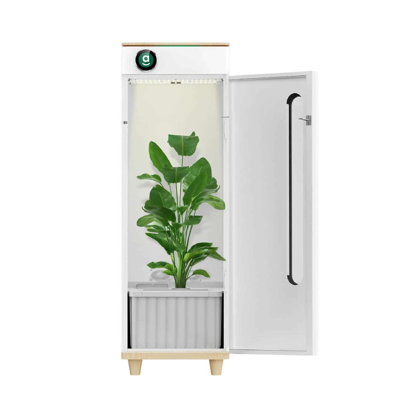 plant grow box indoor OG Edition Automated Hydroponic Indoor Grow Box