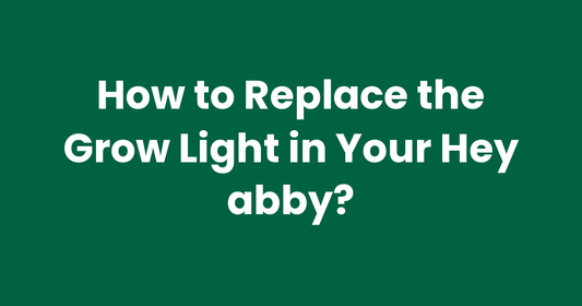 How to Replace the Grow Light in Your Hey abby?