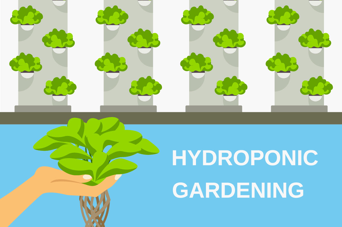 Everything You Need to Start Your Own Hydroponic Garden