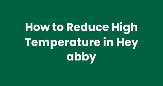 How to Reduce High Temperature in Hey abby