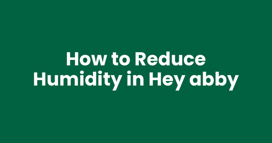 How to Reduce Humidity in Hey abby
