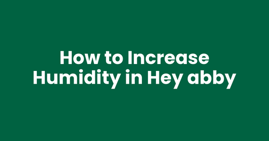 How to Increase Humidity in Hey abby