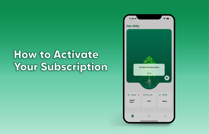 How to Activate Your Subscription