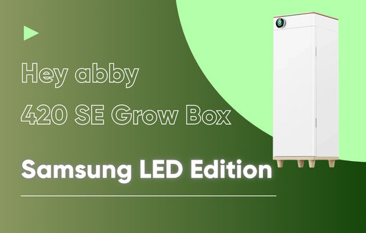 Hey abby 420 SE grow box intro