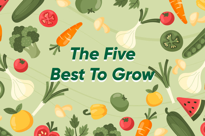 The Five Best Hydroponic Fruits and Veggies to Grow