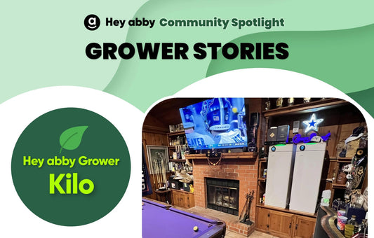 hey abby grower story kilo