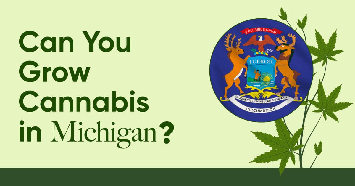 can you grow marijuana in michigan