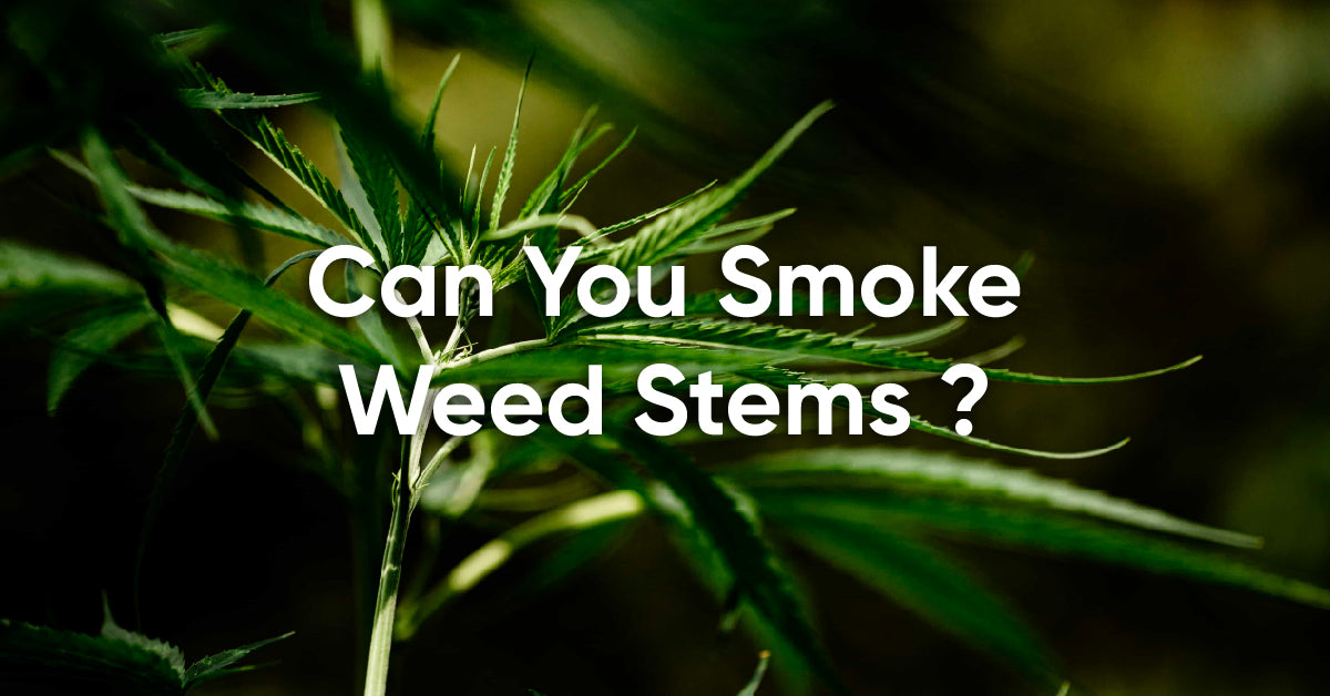 can you smoke weed stems?