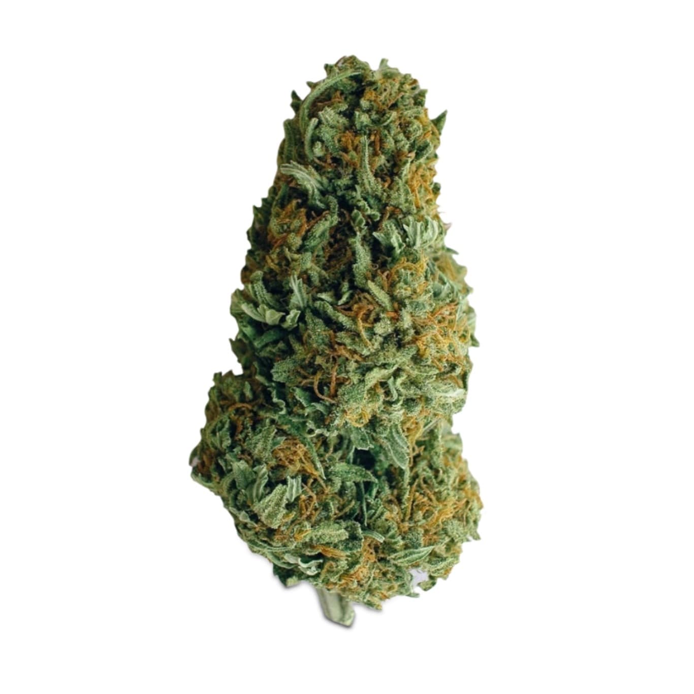 Strains Hey Abby strains-hey-abby