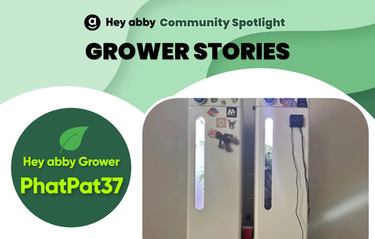 hey abby grower story of phatpat37