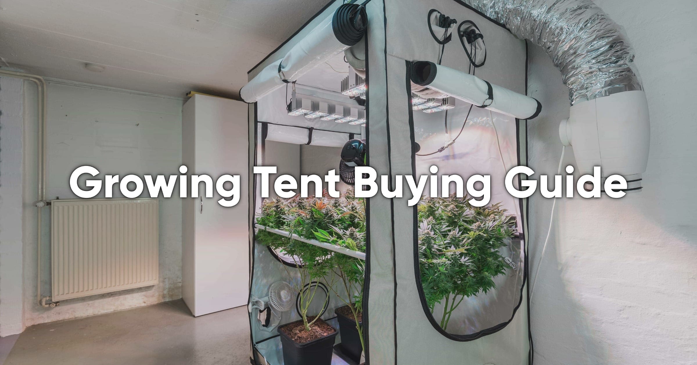 how to buy the best grow tent