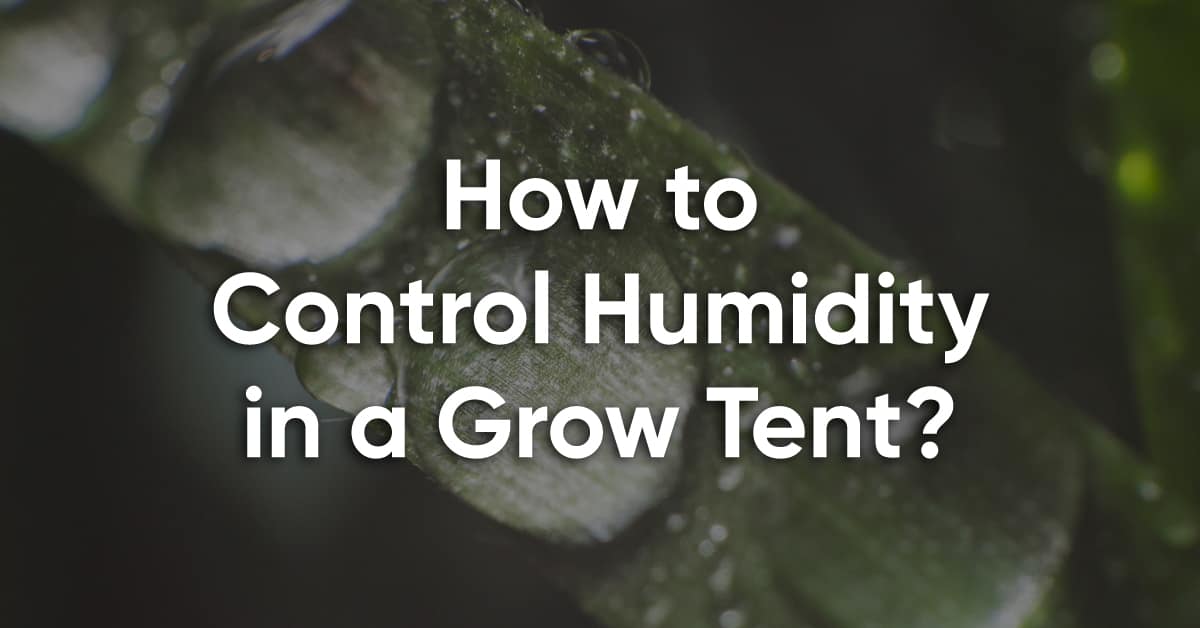 how to control humidity in grow tent