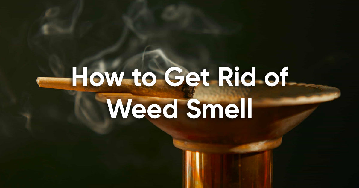 how to get rid of smell of weed