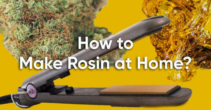 How to Make Rosin at Home - Dabs for Everyone!