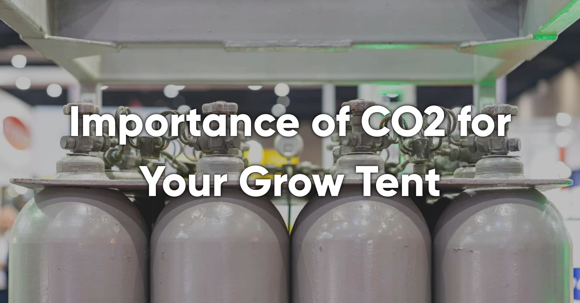 Importance of CO2 for Grow Tents