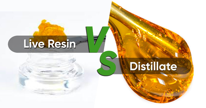 Live Resin vs Distillate