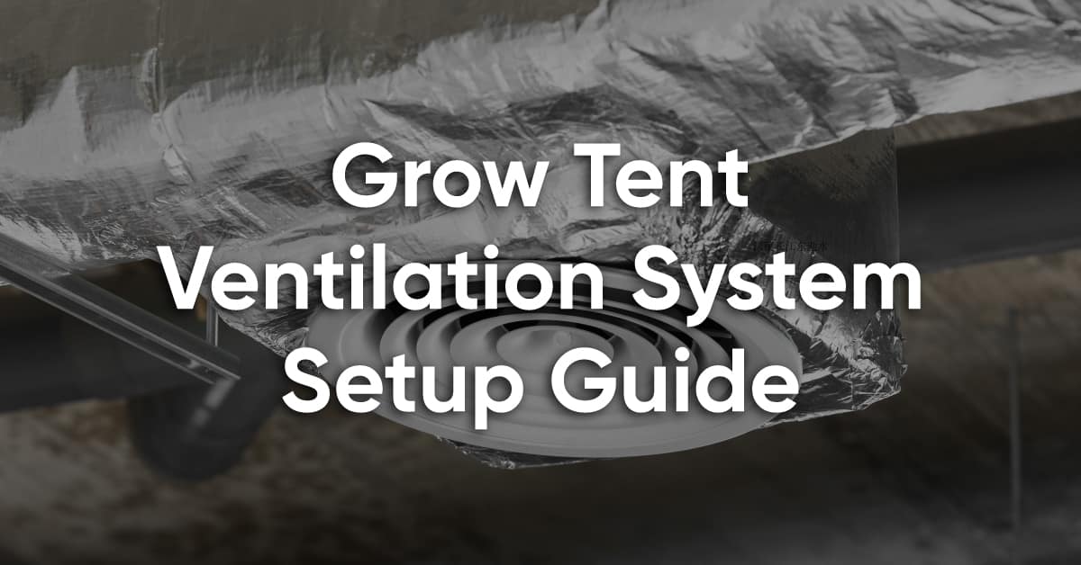 Grow Tent Ventilation: Optimizing Airflow for Healthier Plants