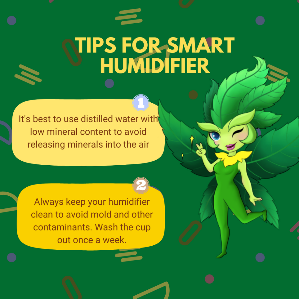 Hey abby small humidifier for plants_tips