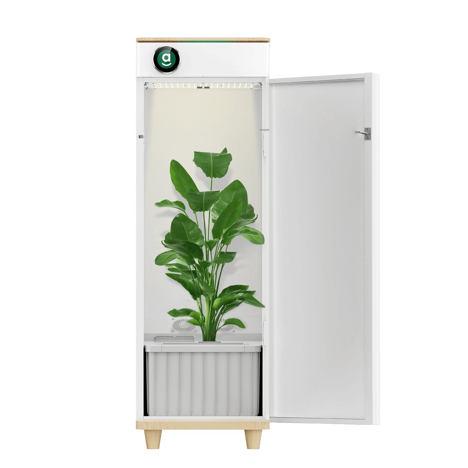 Hey abby 420 SE all in one grow box for beginners