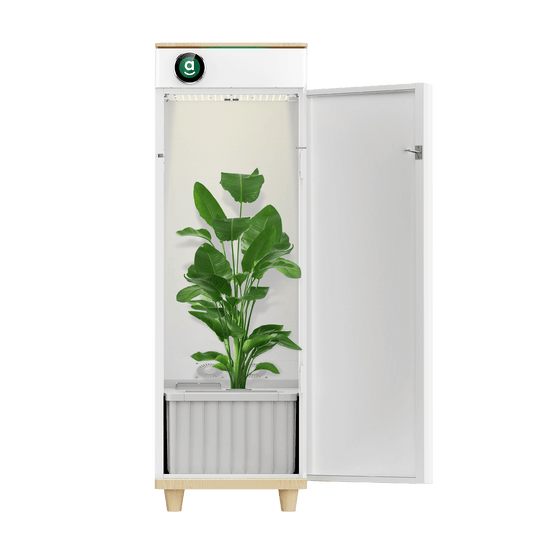 Hey abby 420 SE all in one grow box for beginners