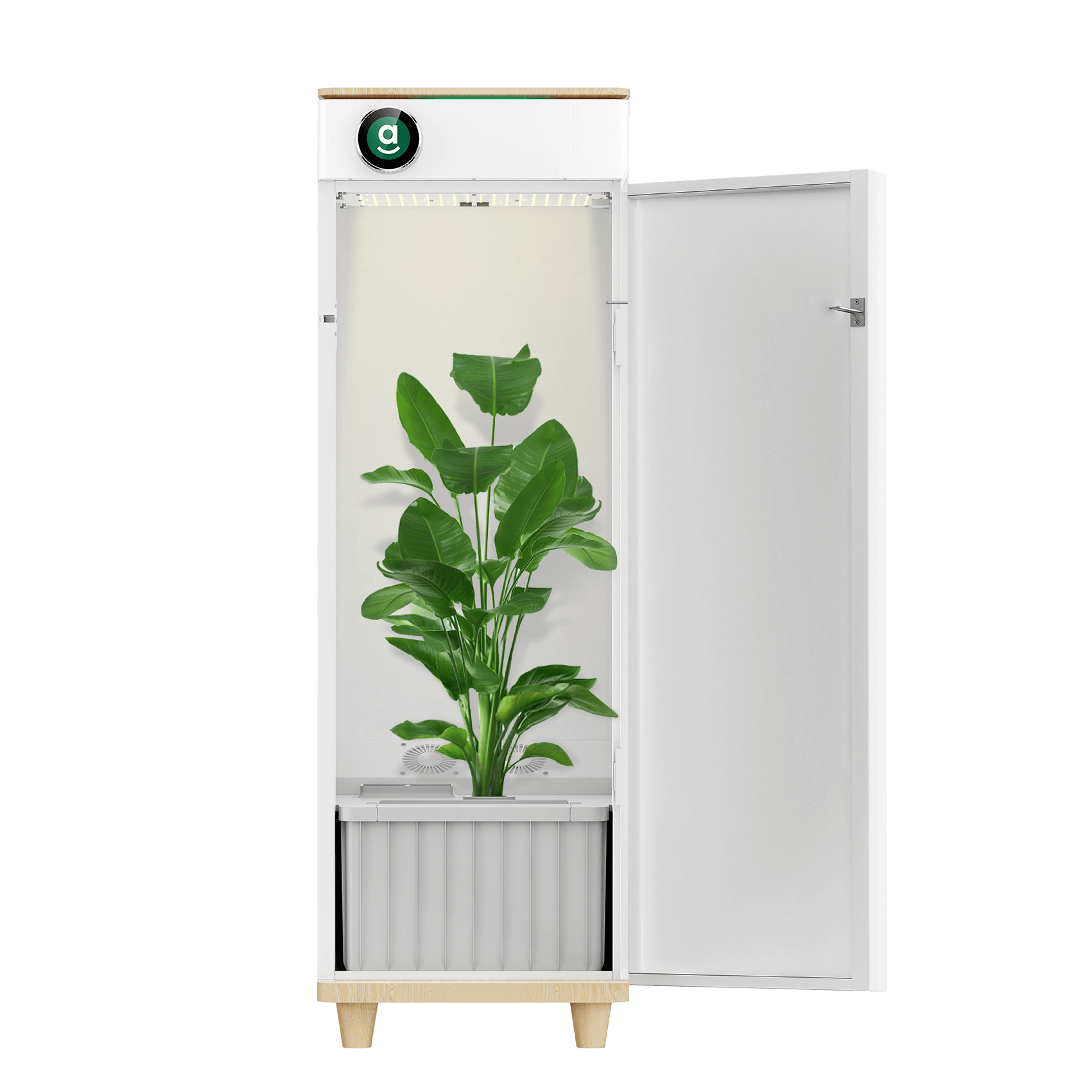 Hey abby 420 SE grow box for beginners