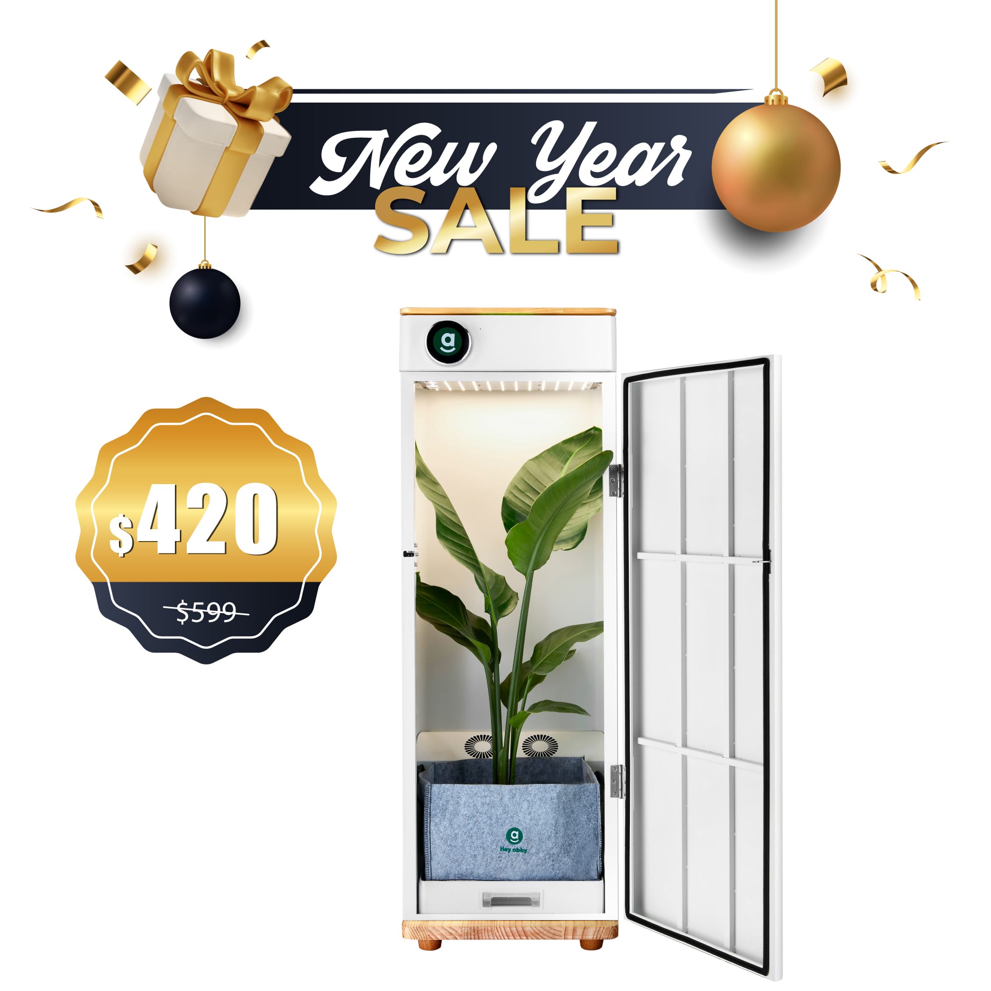 Hey abby New Year deals_soil edition grow box