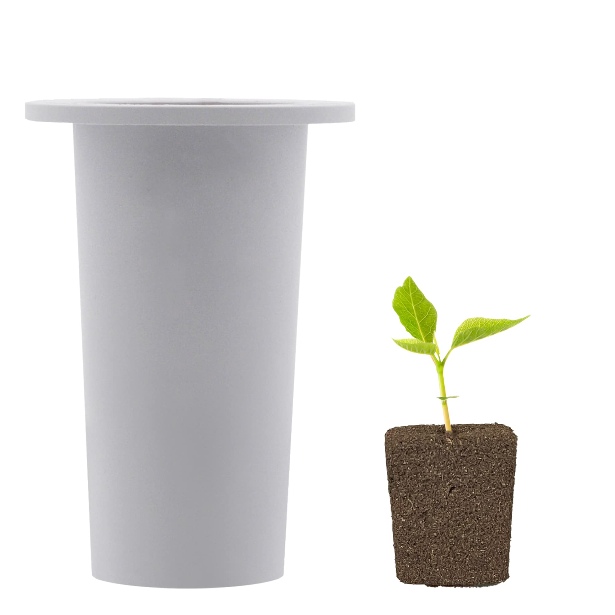 Hey abby seed kit gen2