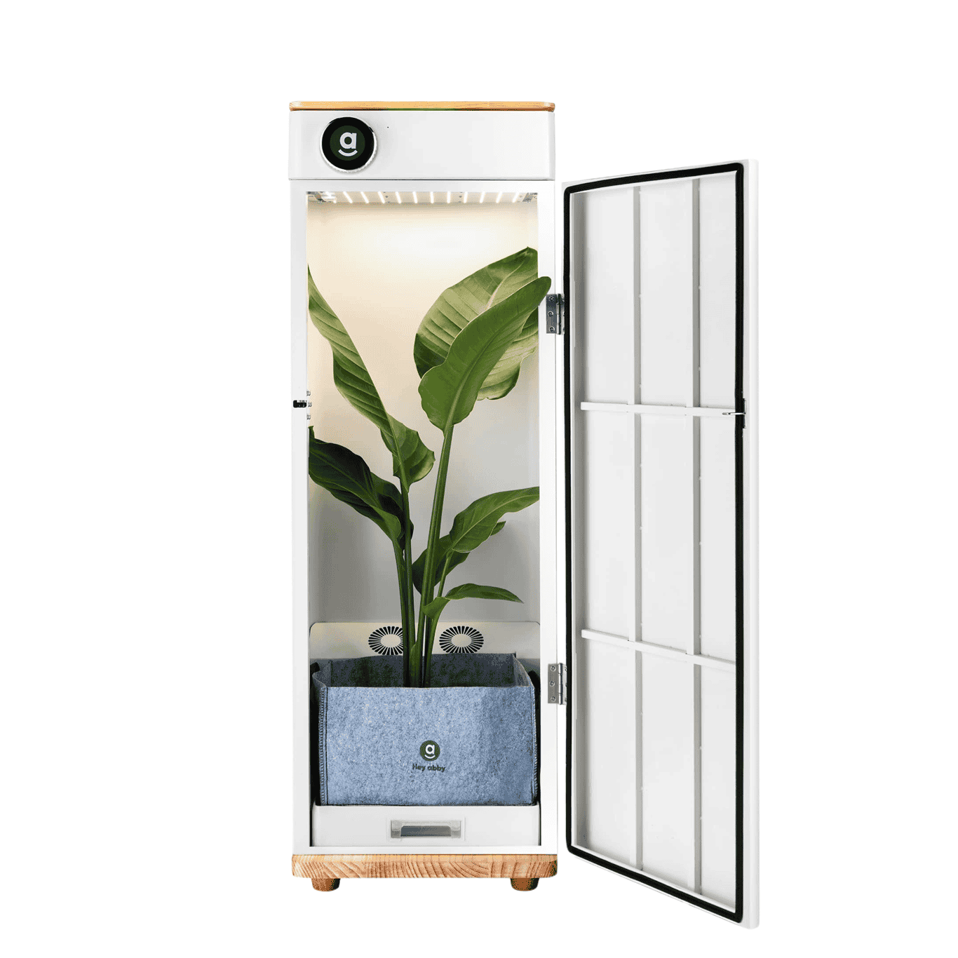 Hey abby Soil Edition smart grow closet