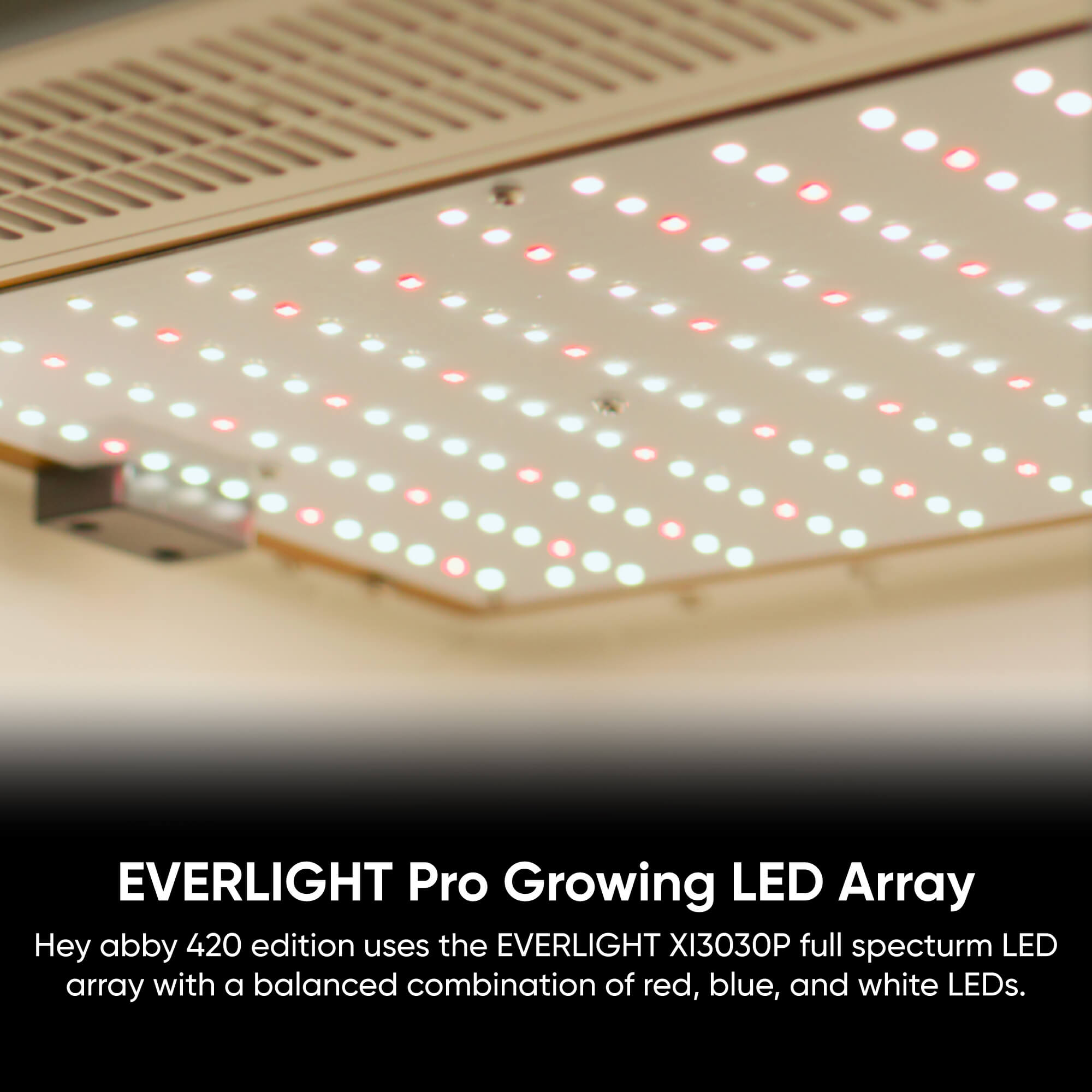 Hey abby 420 Edition hydroponics weed grow box LED lights