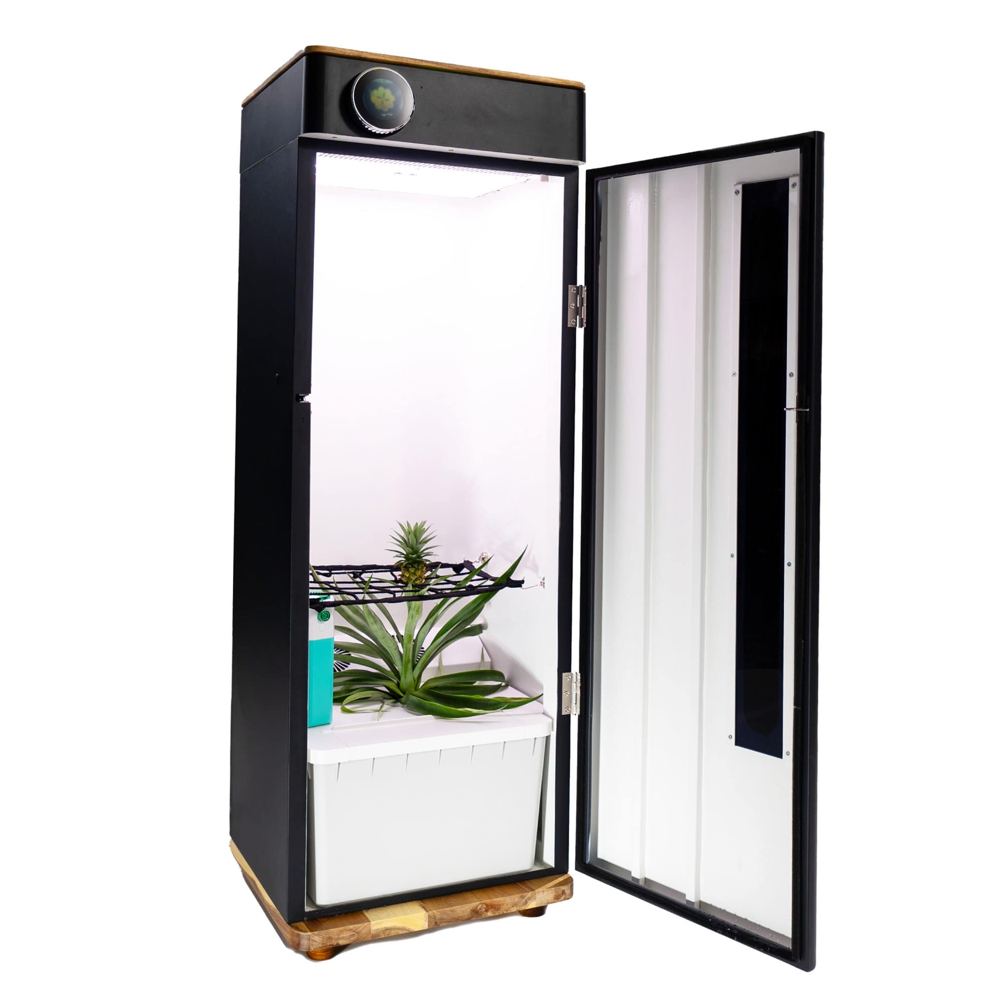 black box grow tent Hey abby Black Edition Grow Box