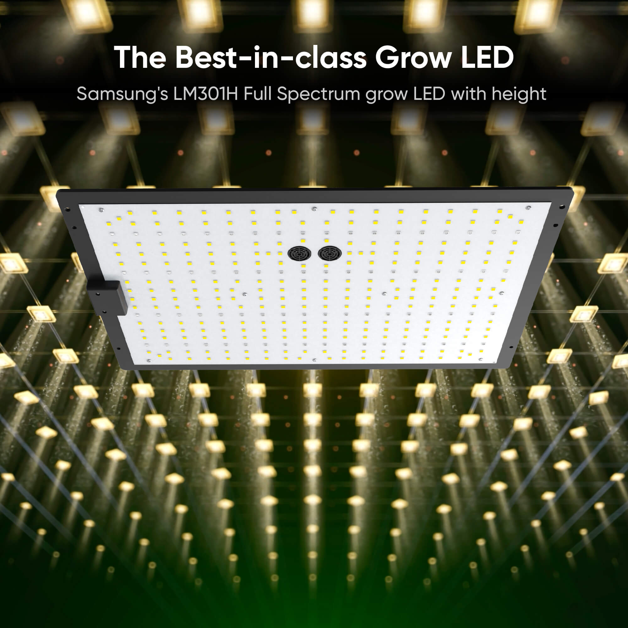 Best Home Growing System for Beginners – Hey abby