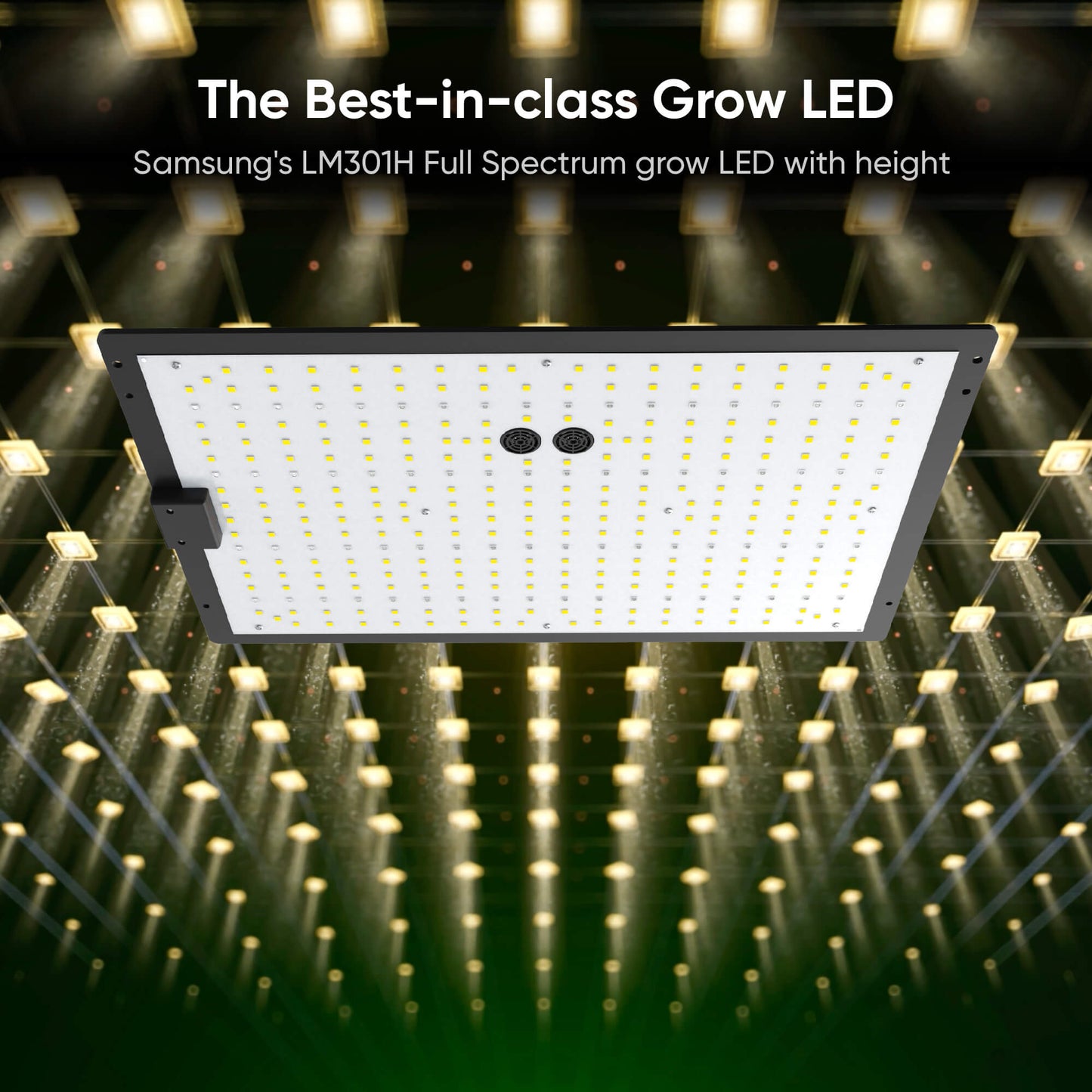 Hey abby OG marijuana grow box's Samsung LED light