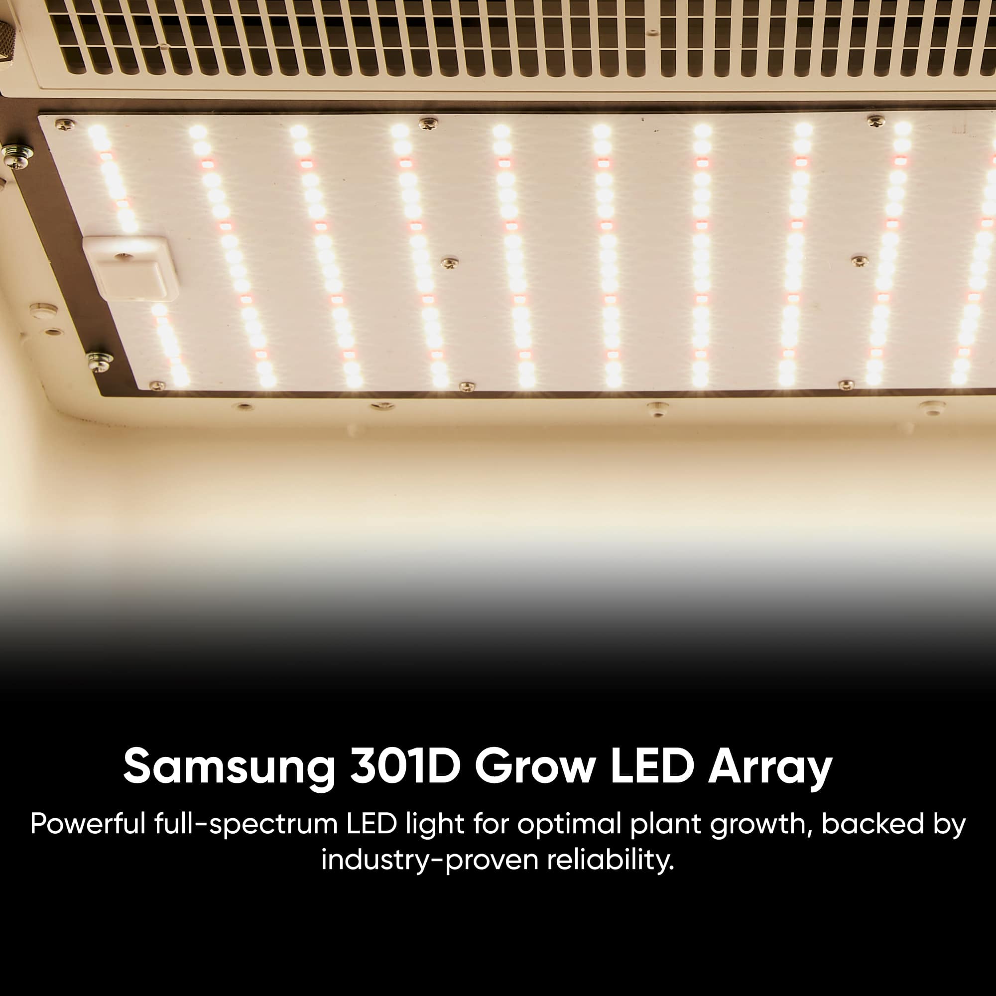 Hey abby grow box soil edition_Samsung LED light