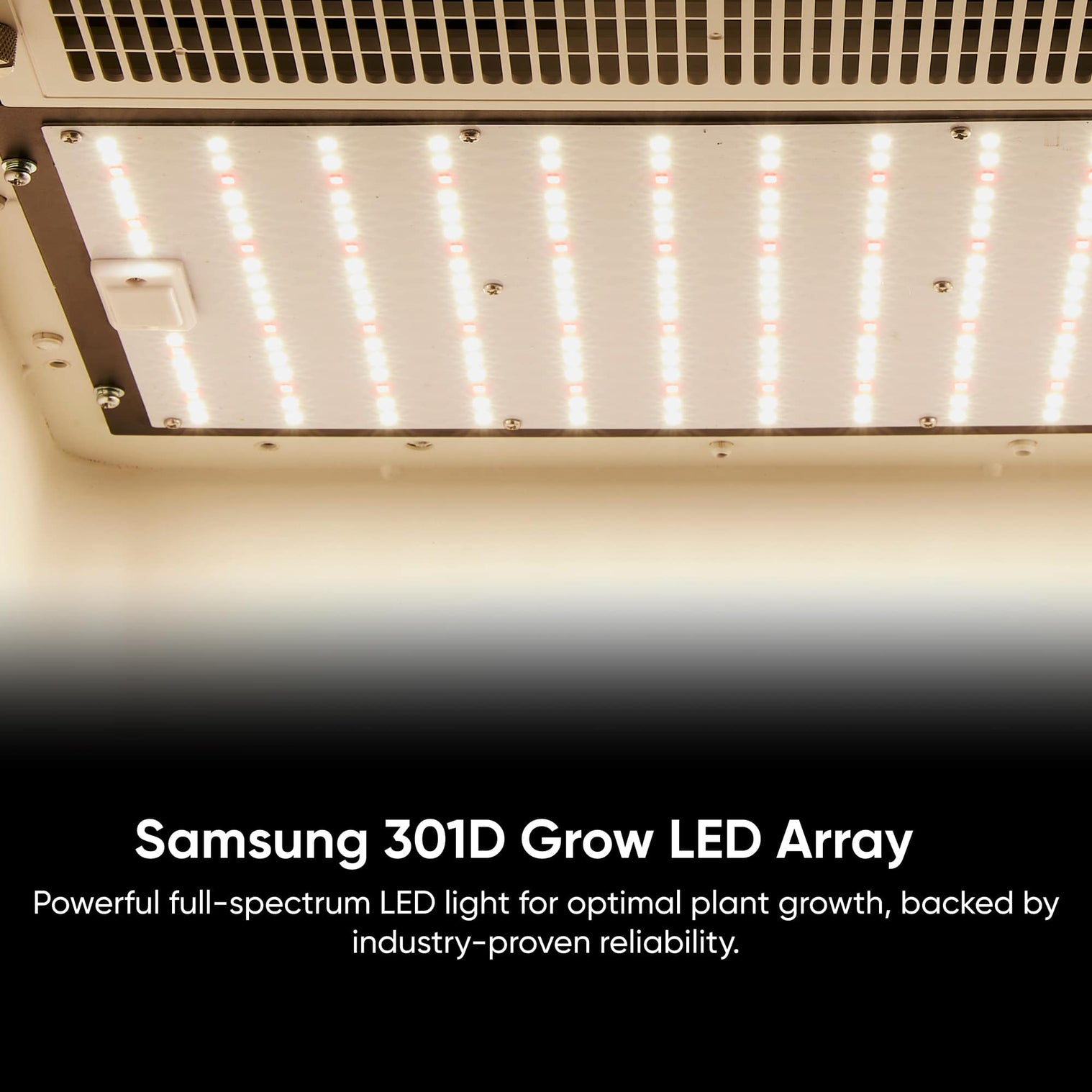 Hey abby grow box soil edition_Samsung LED light