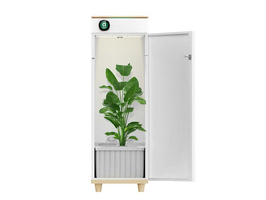Hey Abby Automatische Growbox 420 Edition
