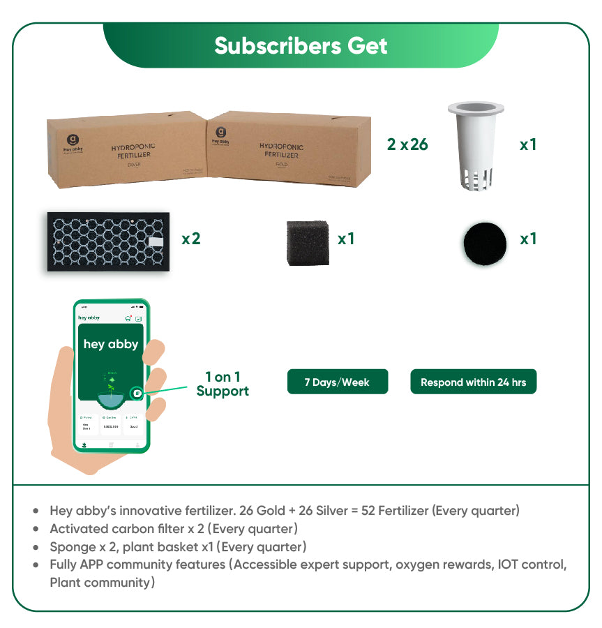What's included in Hey abby subscription pack